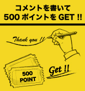 レビューで500ポイント