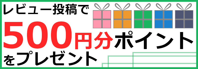 レビュー投稿で500円分ポイントプレゼント